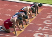 爱游戏大厅-荷兰式战术风暴席卷西甲德比舞台，郁金香强势绽放力压乌拉圭