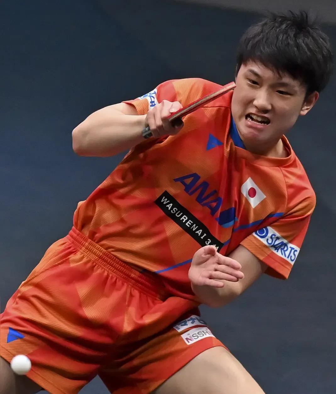 瑞典队鏖战韩国队,张本智和统治全场 瑞典队鏖战韩国队,张本智和统治全场