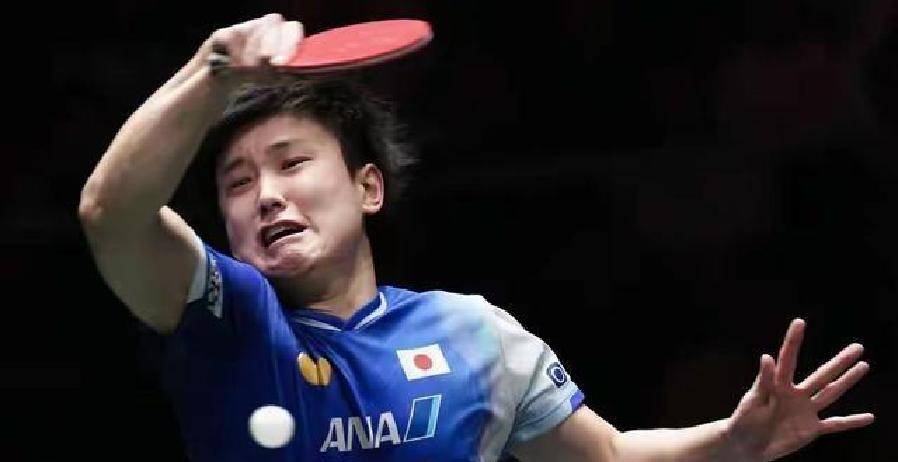 瑞典队鏖战韩国队,张本智和统治全场 瑞典队鏖战韩国队,张本智和统治全场