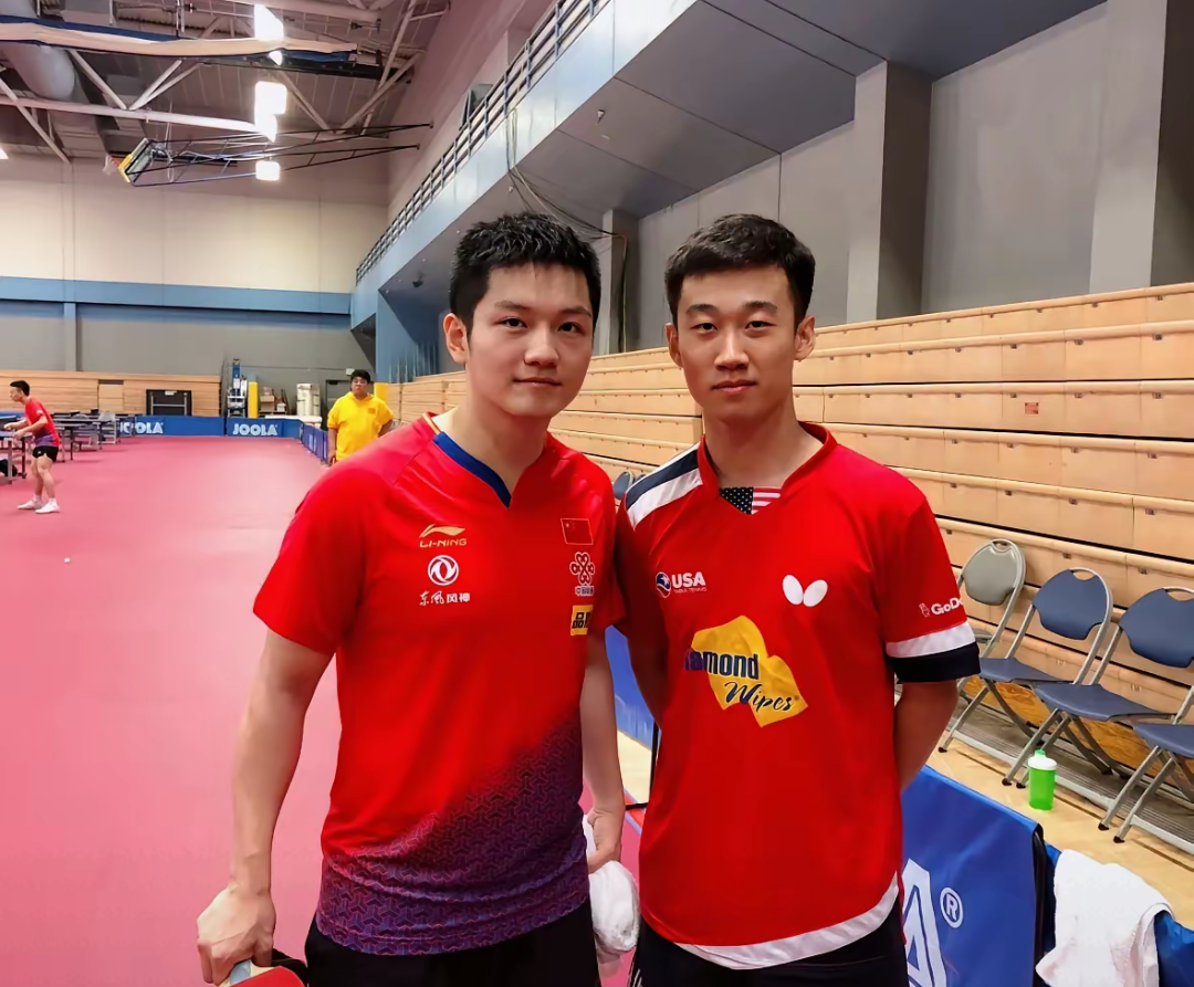 法国乒乓球队强势德国乒乓球队,樊振东统治全场 法国乒乓球队强势德国乒乓球队,樊振东统治全场